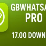 GB WhatsApp Pro v17.00 latest APK download